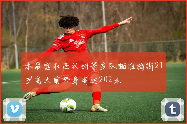 水晶宫和西汉姆等多队瞄准梅斯21岁高大前锋身高达202米